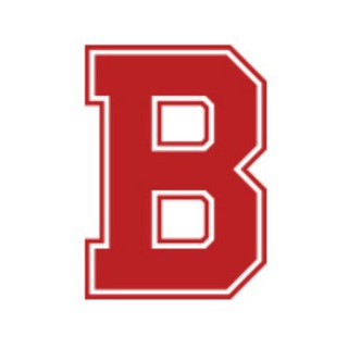 blogger-Бизнес инсайт