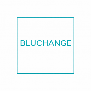 blogger-Bluchange 