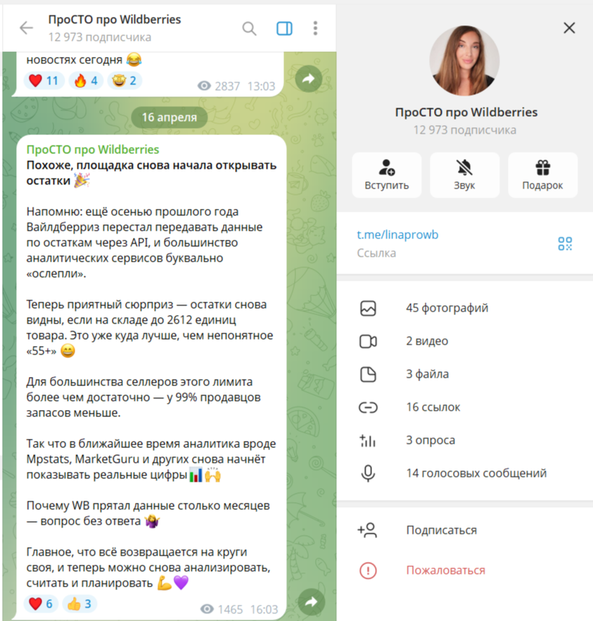 wbpro100 отзывы