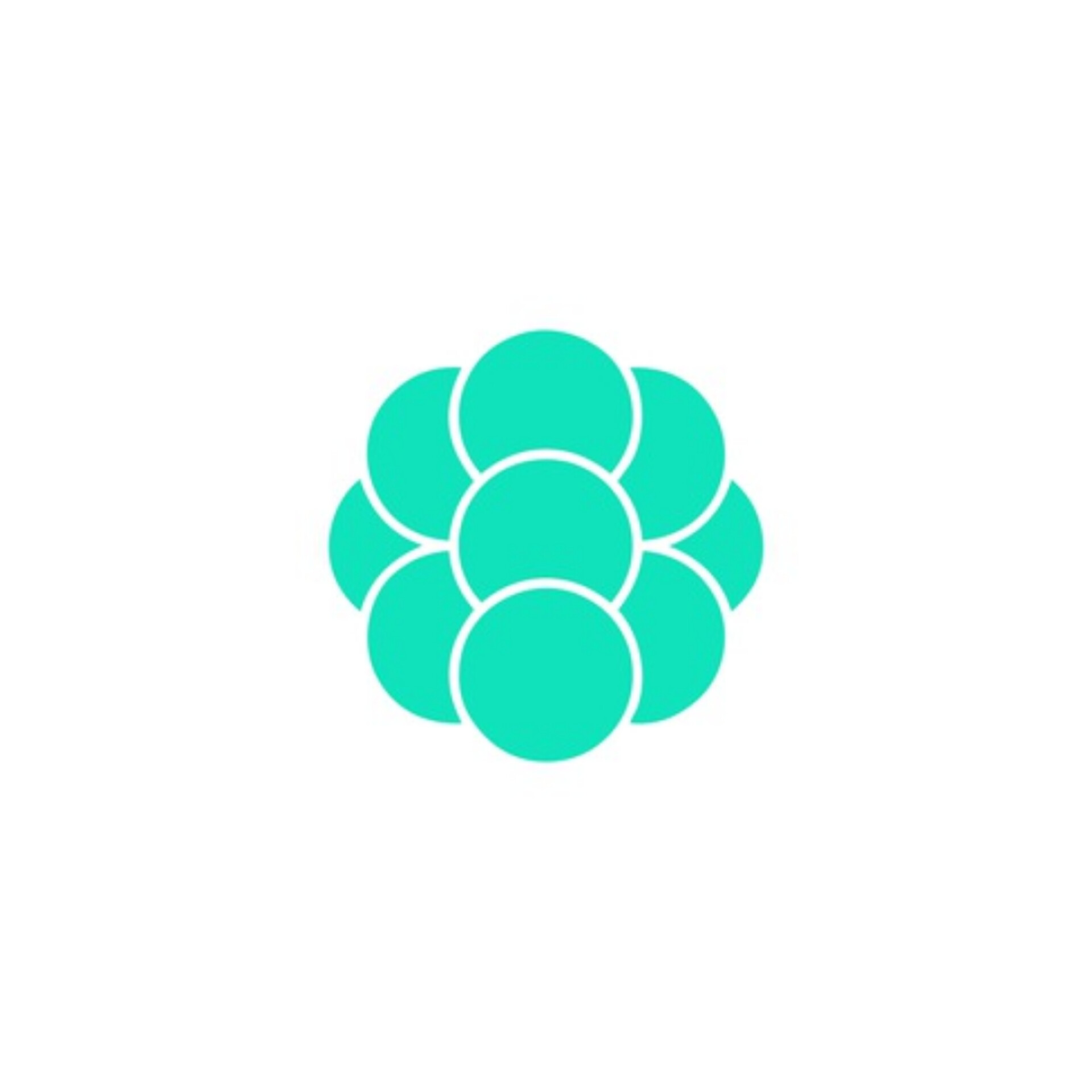 blogger-Metatype 