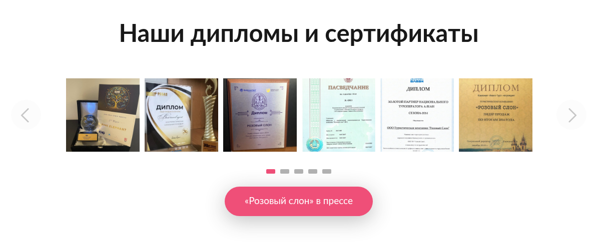 реальные отзывы турагентов о франшизе розовый слон