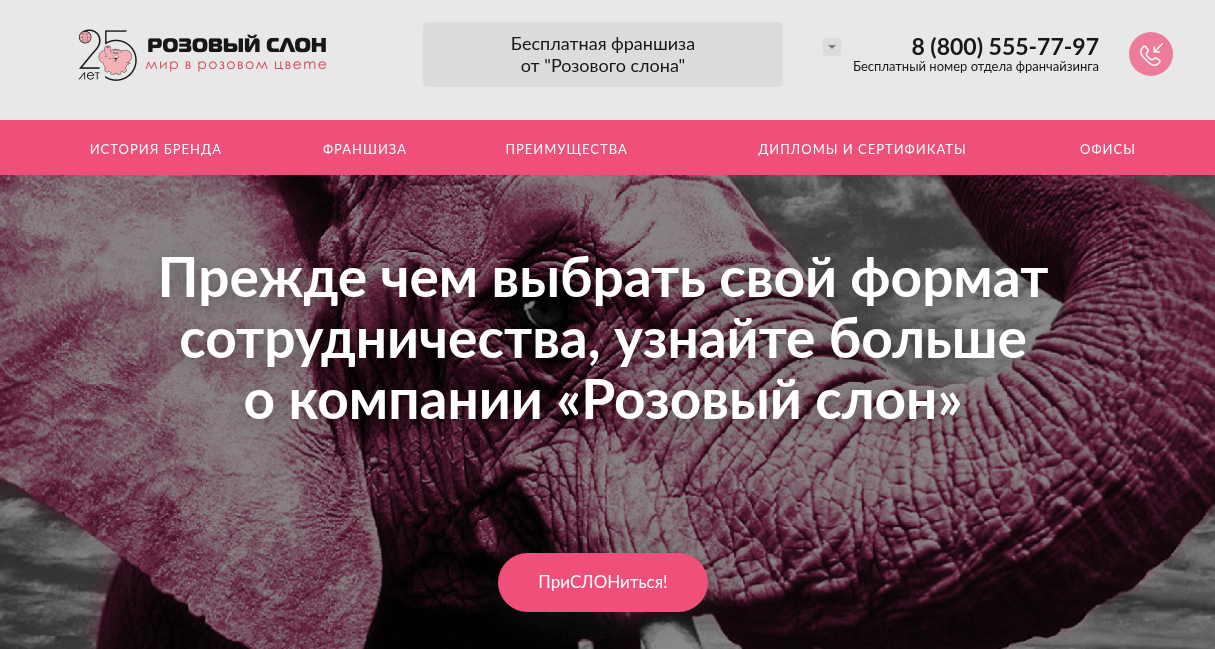 свежие отзывы турагентов о франшизе розовый слон