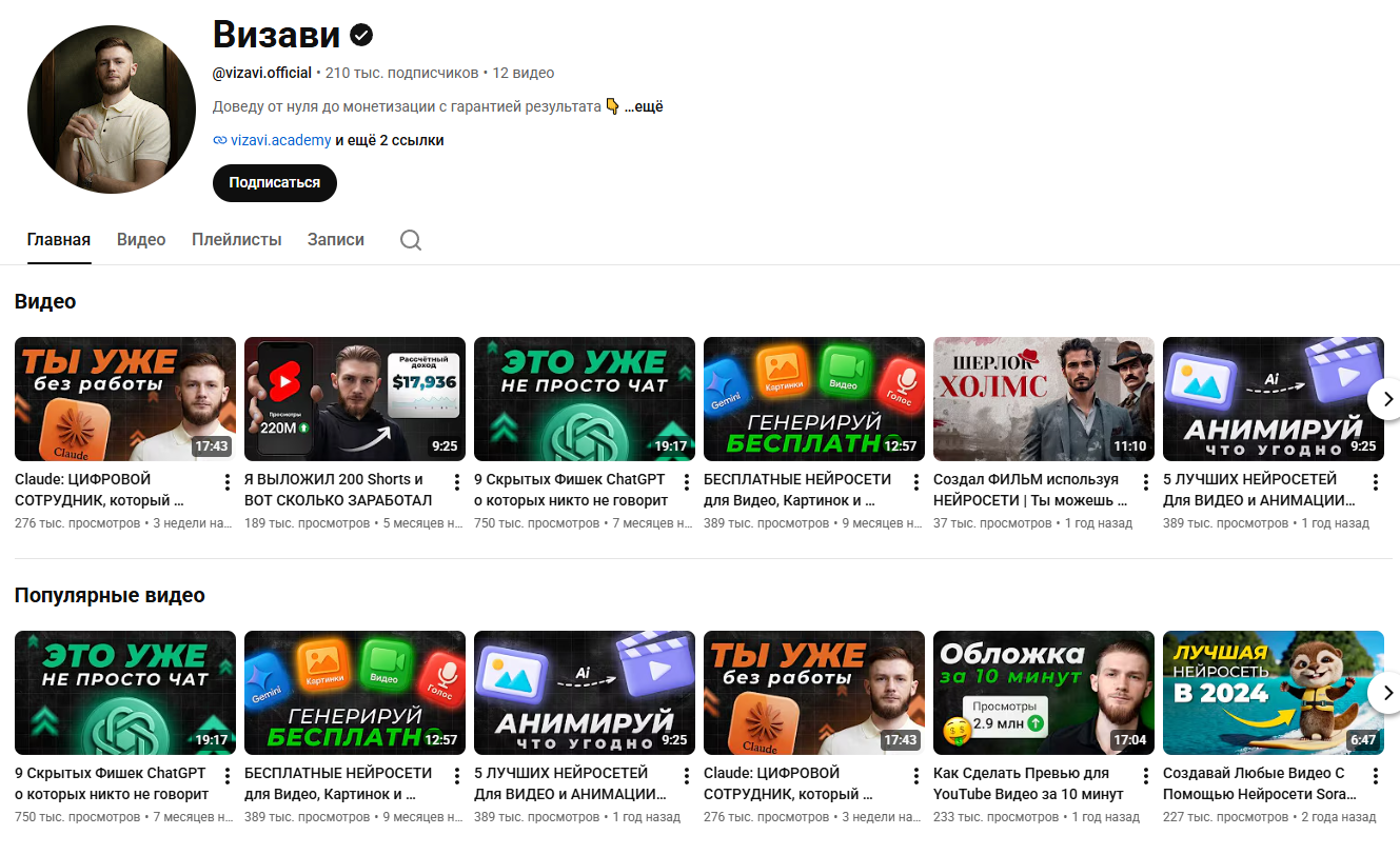 визави академи