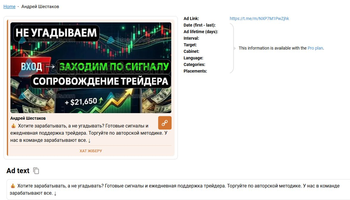 андрей шестаков трейдер
