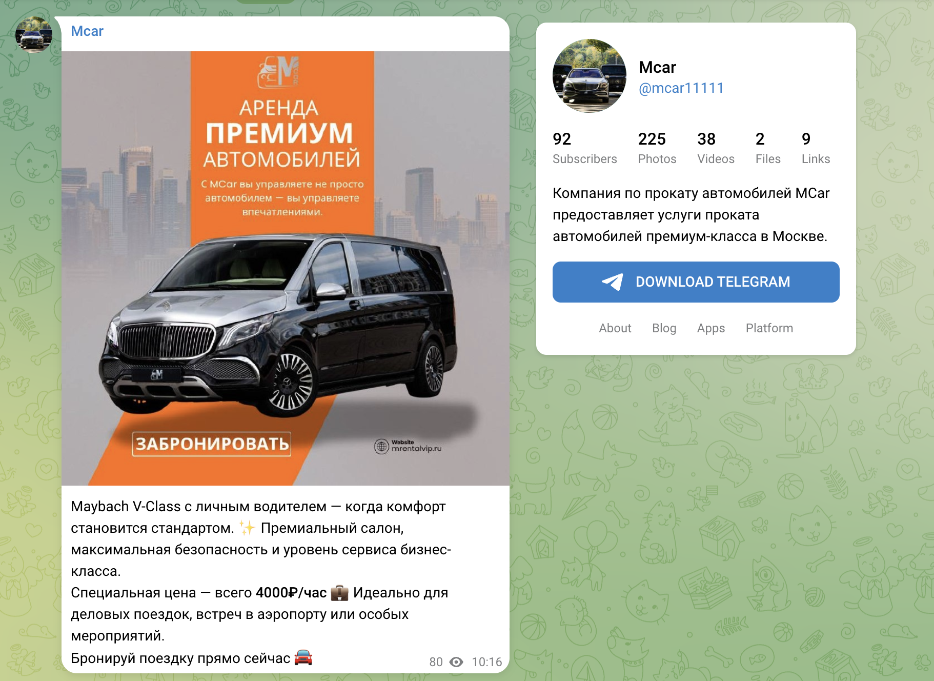 m car телеграмм отзывы