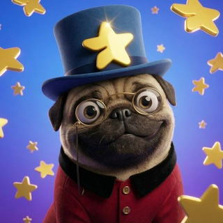 blogger-Mops Stars