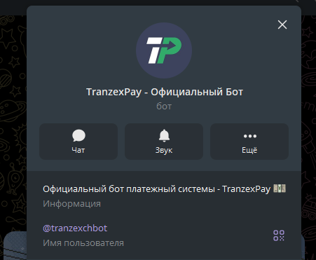 транзекс пей