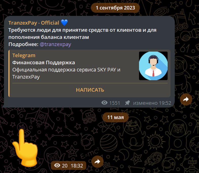 tranzex pay