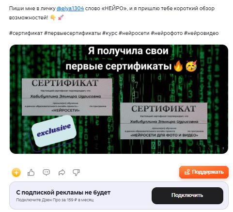 эльмира удаленка отзывы
