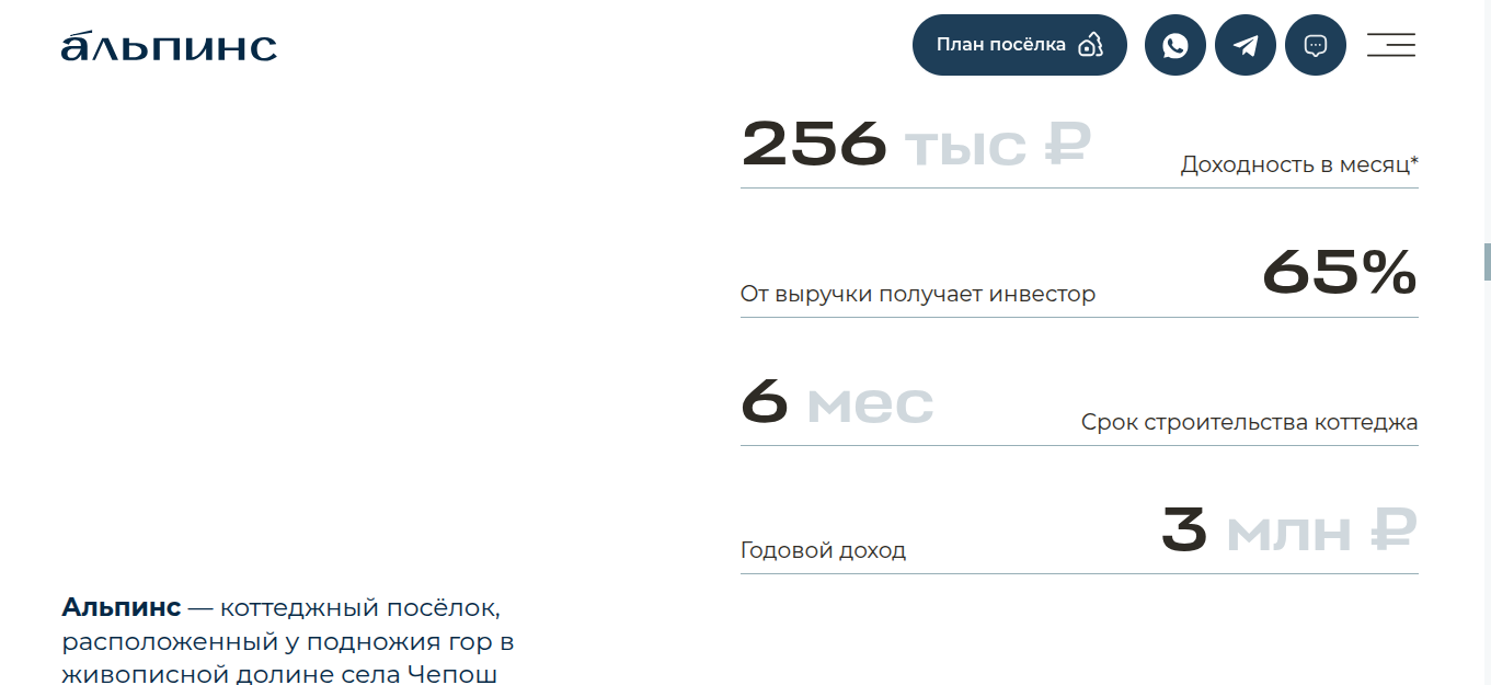 альпинс инвест