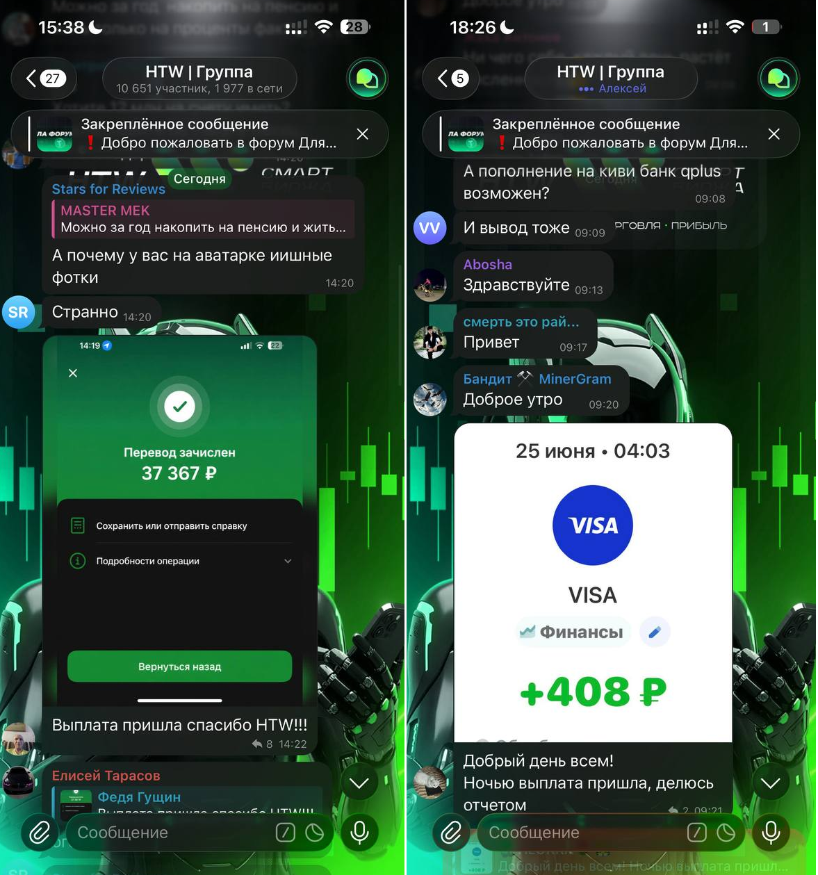 hostrastrobot отзывы