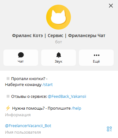 фриланс котэ
