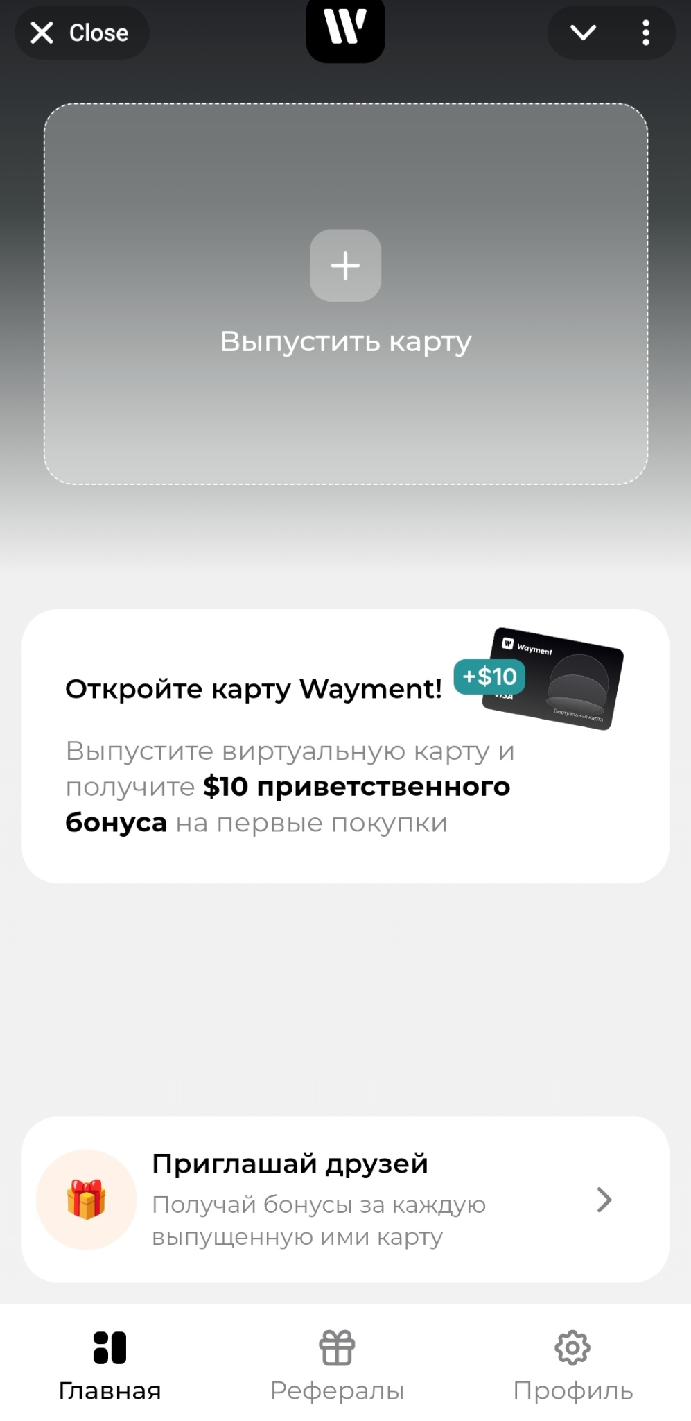 wayment виртуальные карты