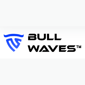 blogger-Bullwaves 
