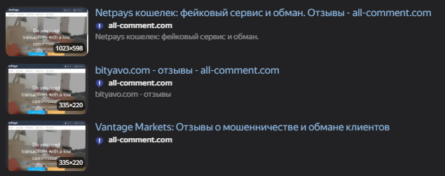 netpays кошелек