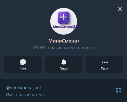 мини смена заработок