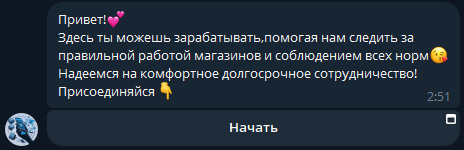 аудитор магазинов бот в тг