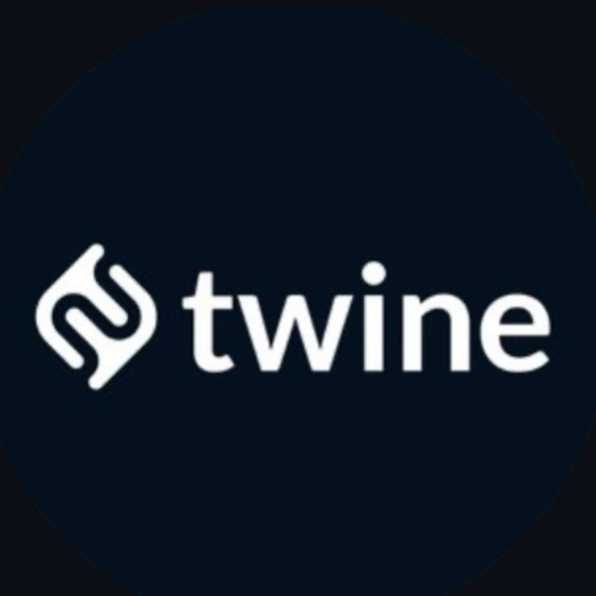 blogger-Twine 