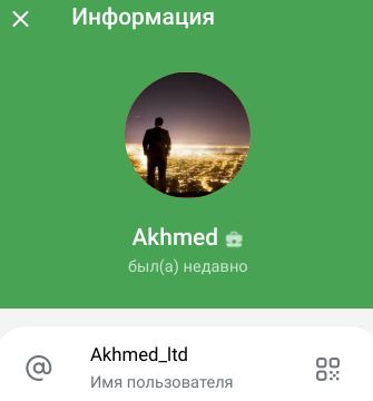 отзывы ахмед лтд инвестиций т стратегия