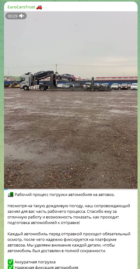 eurocarstrust отзывы