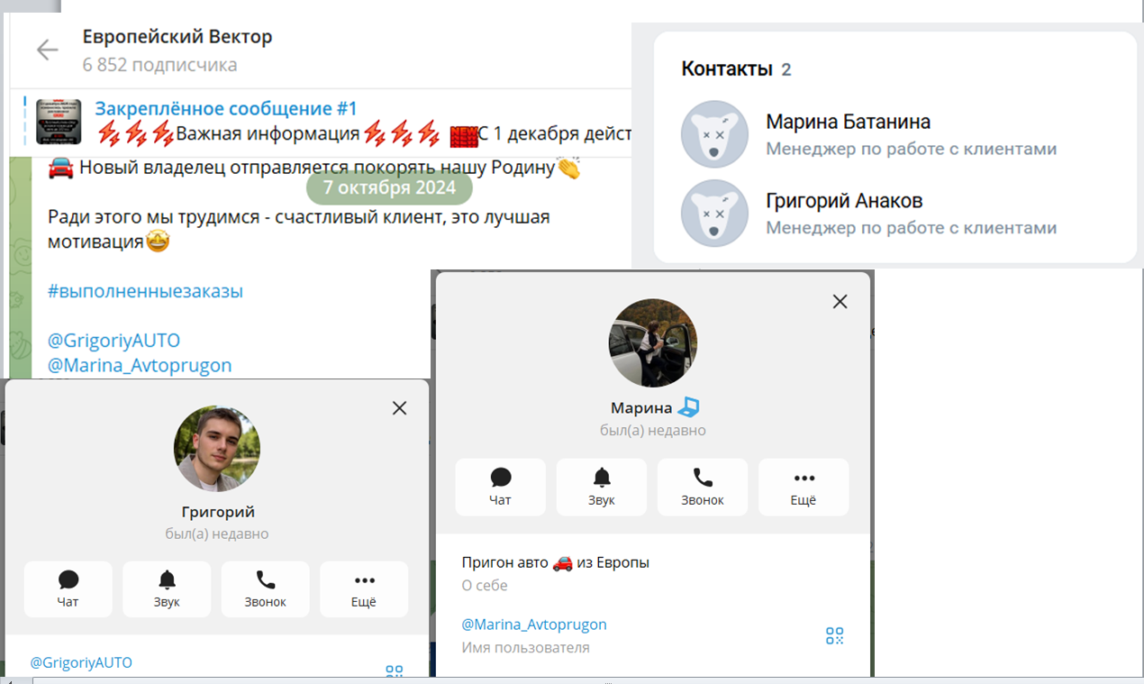 европейский вектор авто из европы отзывы