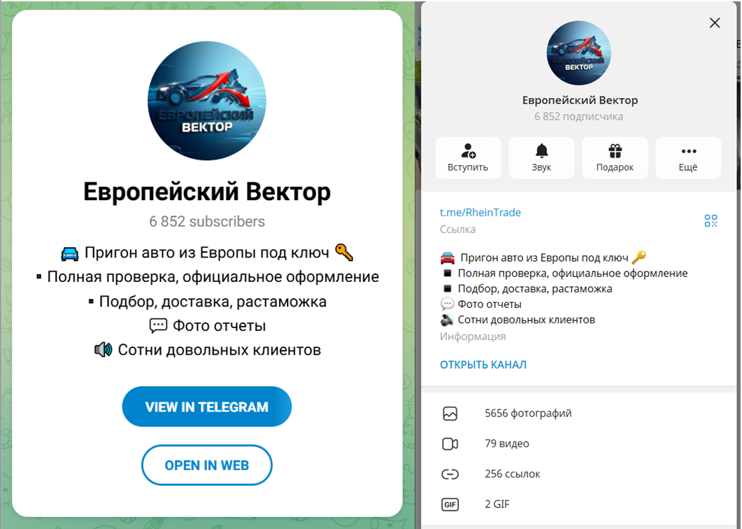европейский вектор пригон авто отзывы