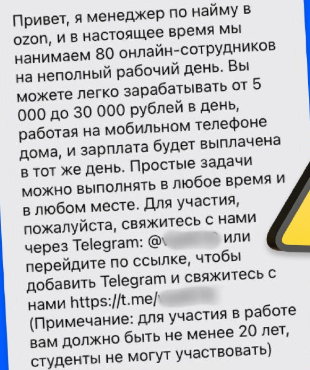 «Биржа удаленки Озон» в тг отзывы