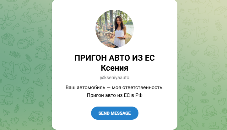 viks auto
