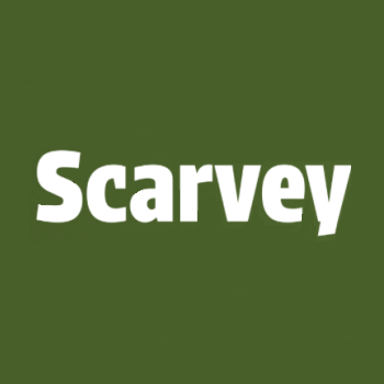 blogger-Scarvey 