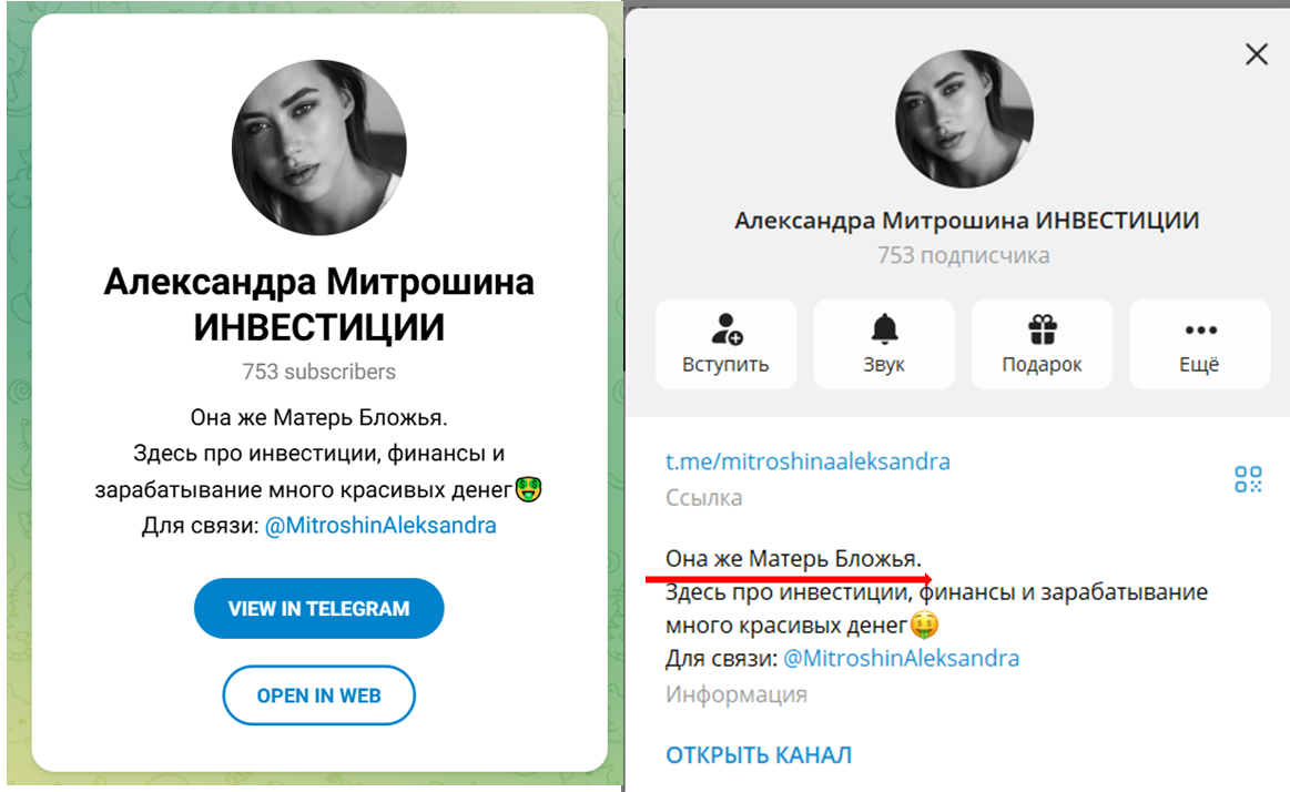 саша митрошина слив