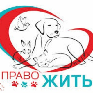 blogger-Твори Добро