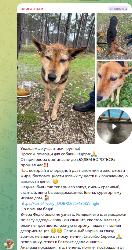 твори добро