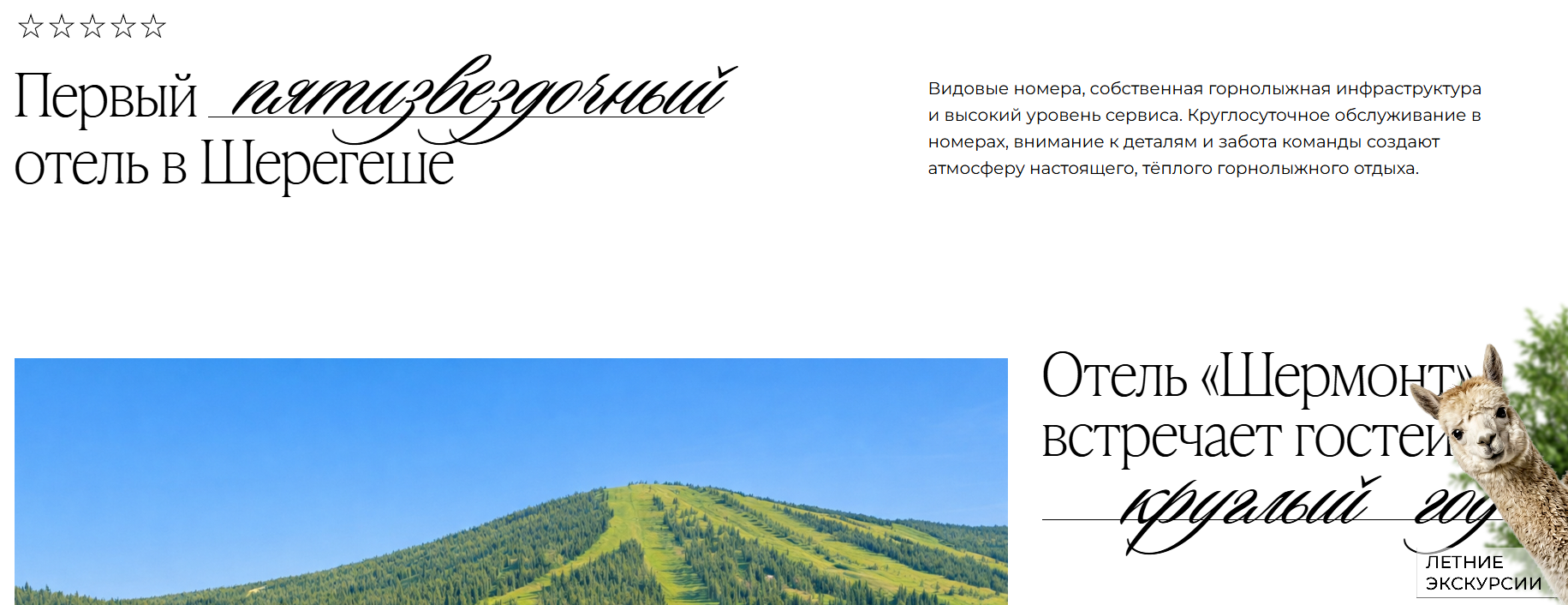 шермонт отзывы инвесторов