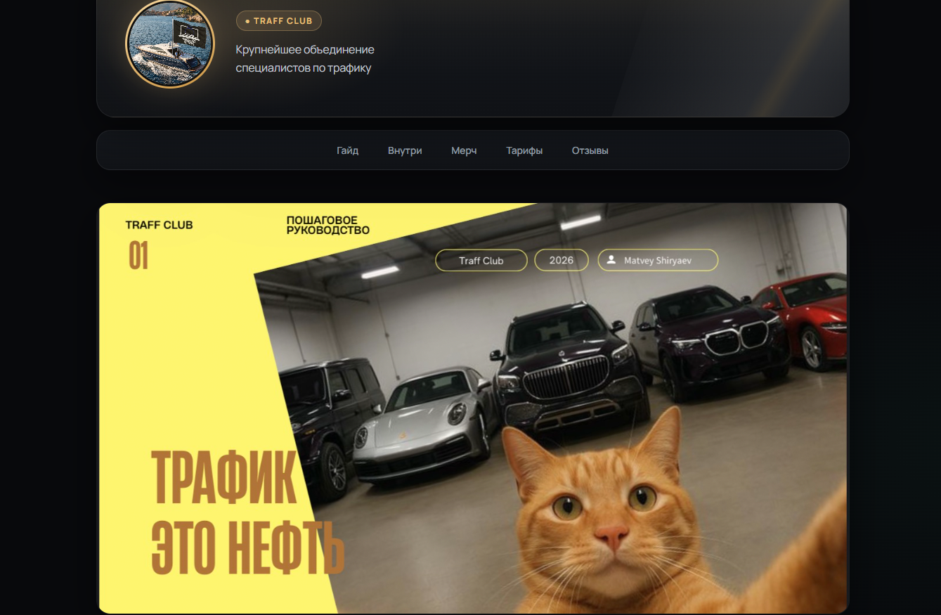 матвей ширяев отзывы