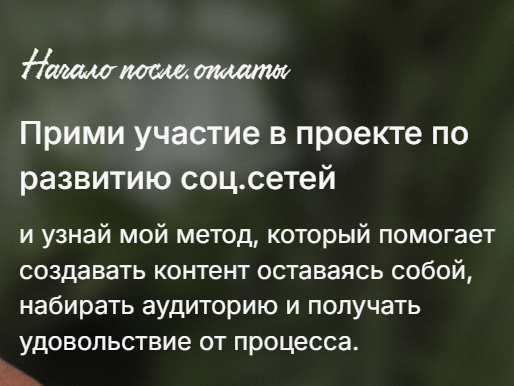 Алена Янчевская мошенница курс