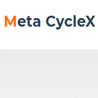 blogger-Metacyclex 