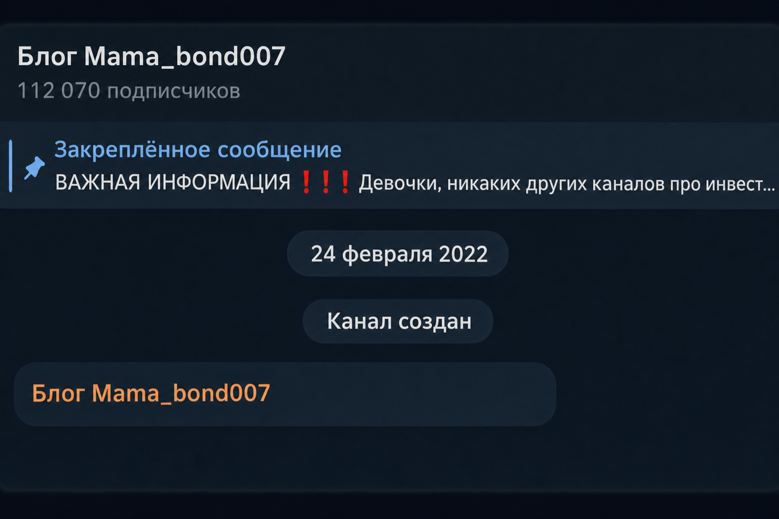 Вероника Бондаренко Блоггер