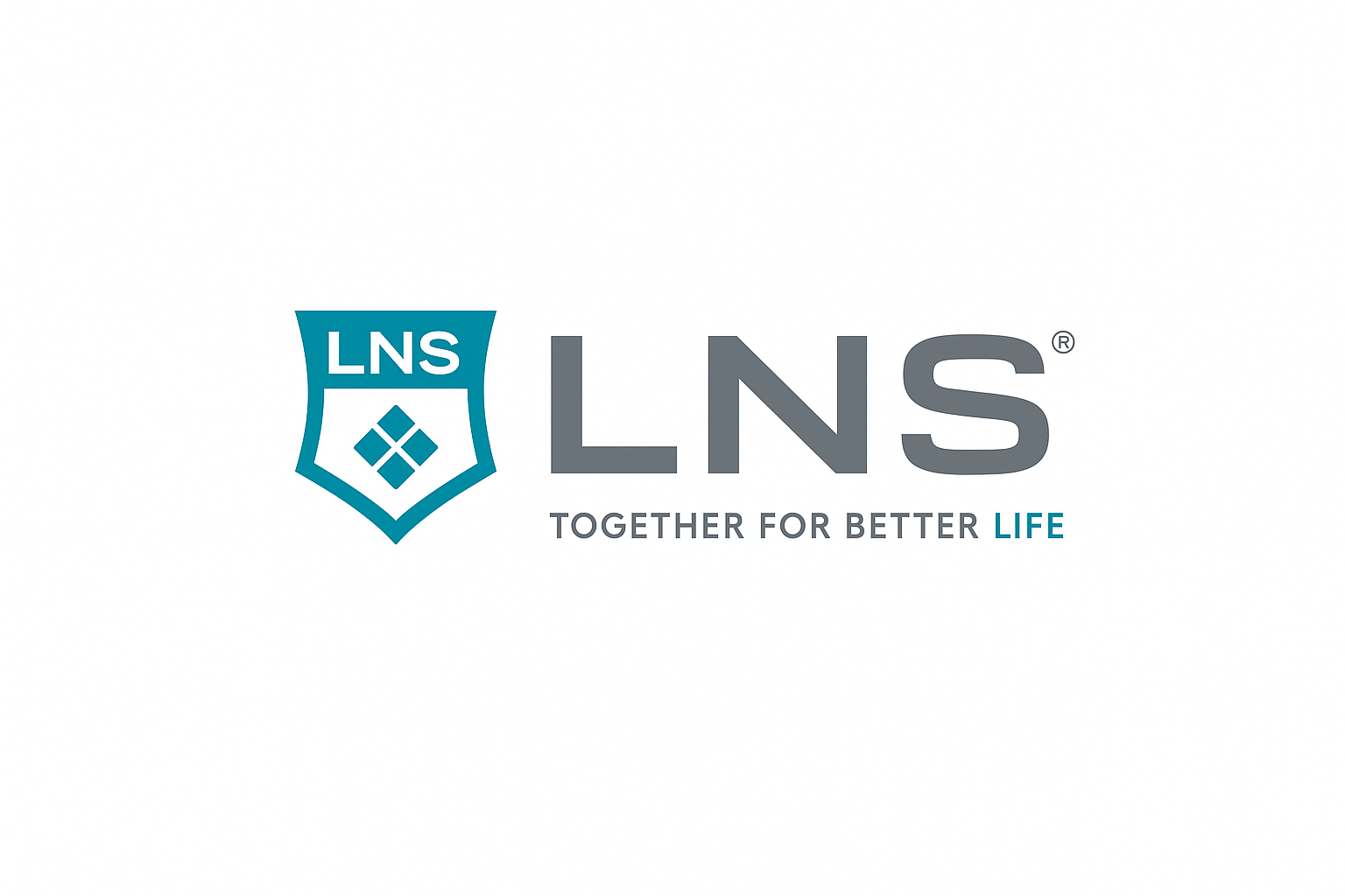 Lns International