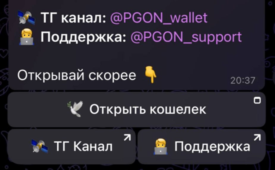 Pgon Wallet