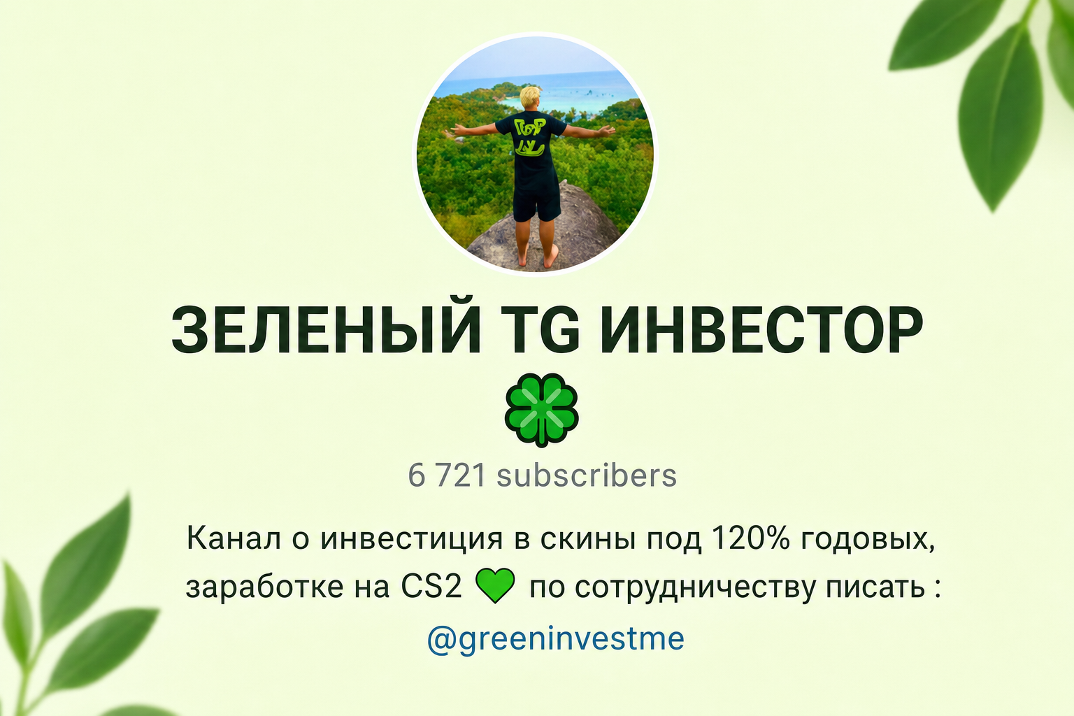 Зеленый Тг Инвестор