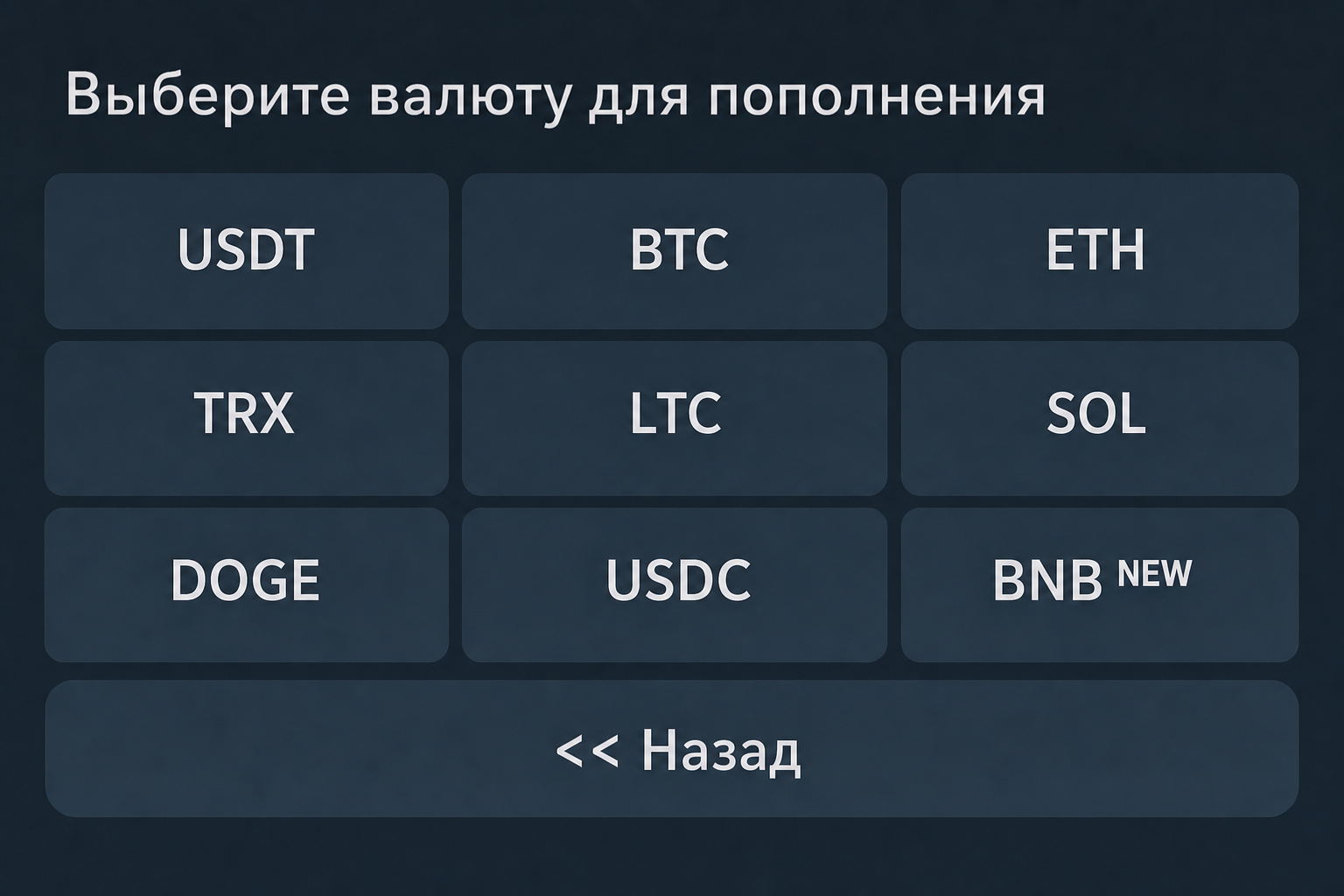 Pay Space Wallet