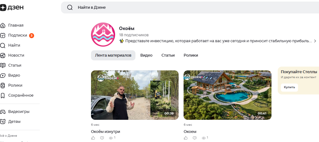 окоем инвестиции