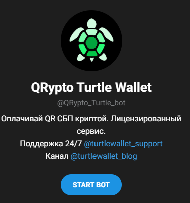 qrypto turtle