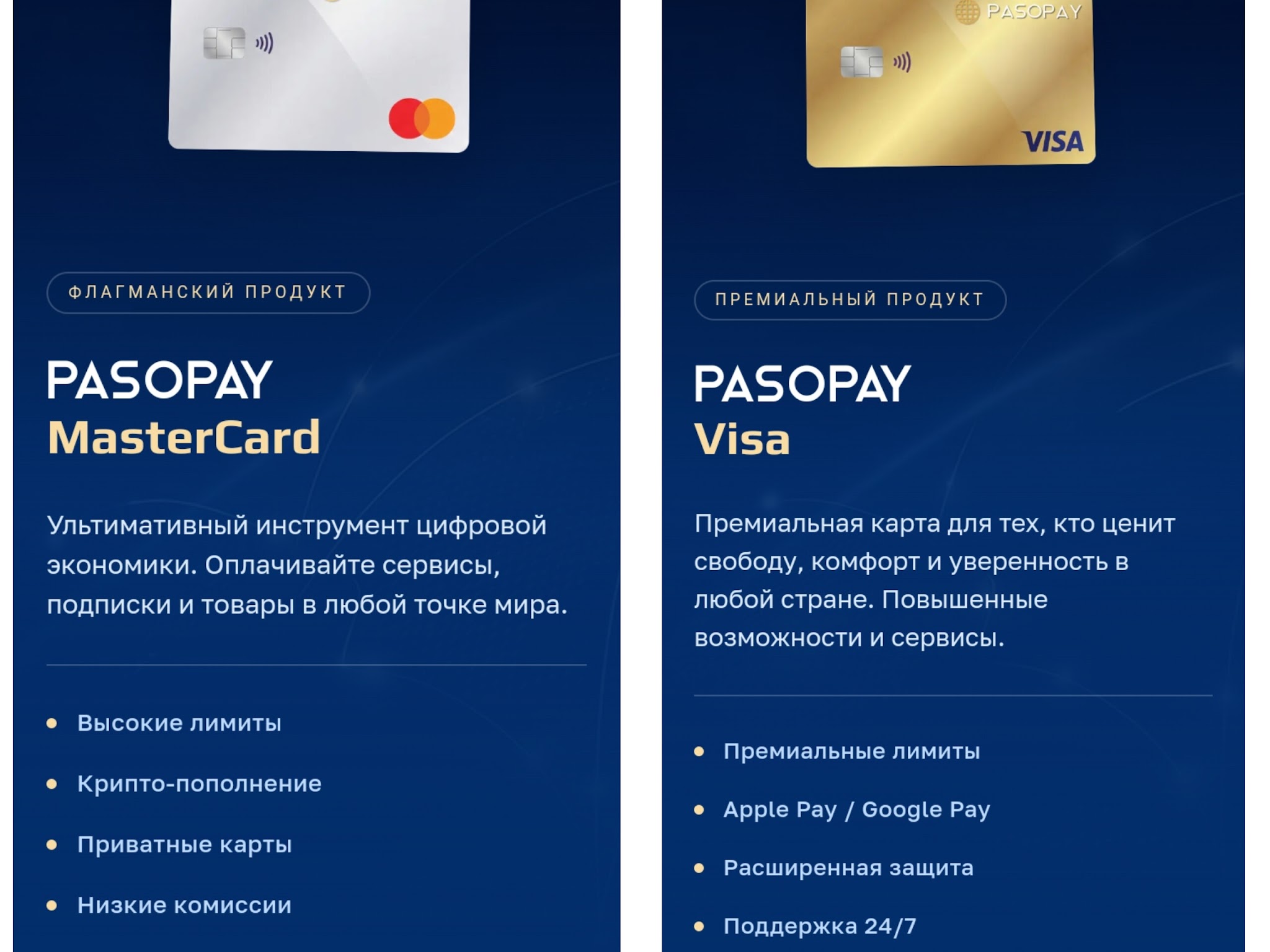 pasopay проект отзывы