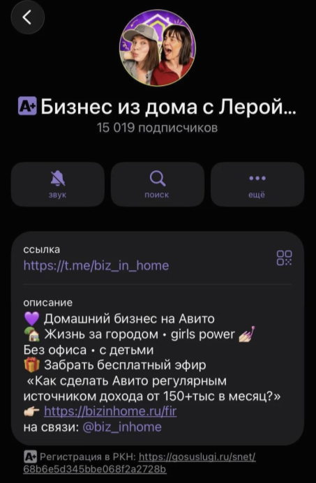 бизнес из дома с лерой и викой