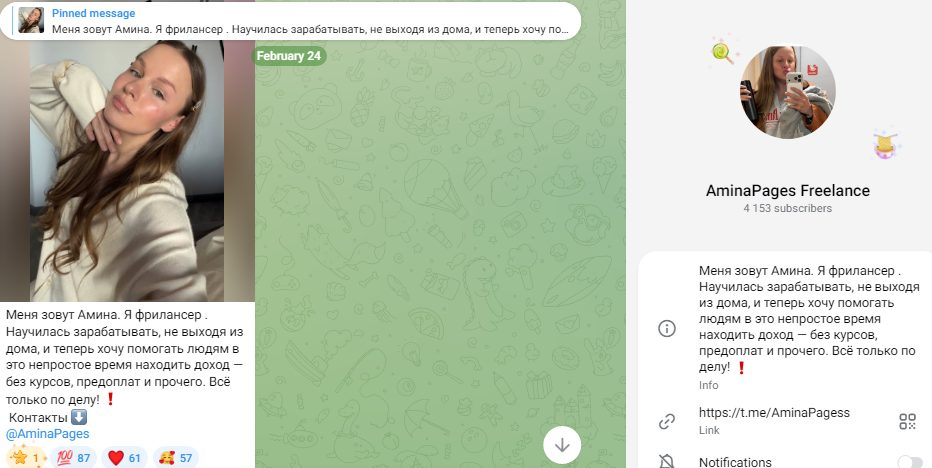 aminapages отзывы