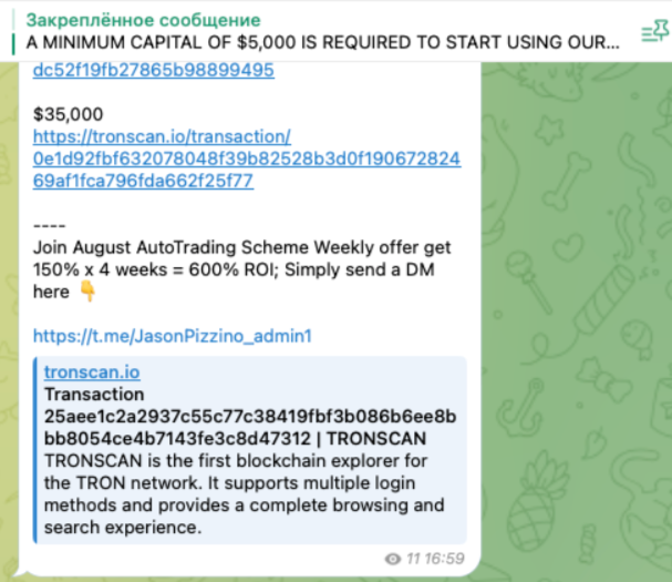https t me thebluntzcapital отзывы