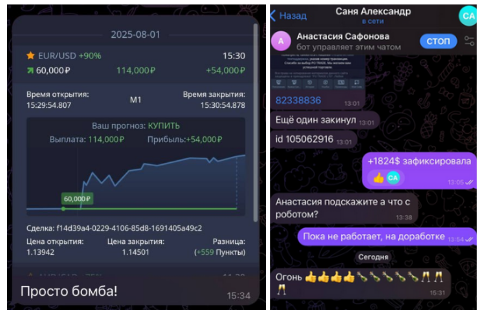 Анастасия Сафонова – Деньги с Умом