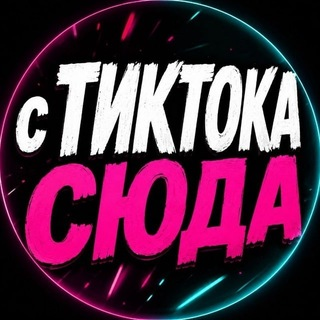blogger-Otzivibes Bot