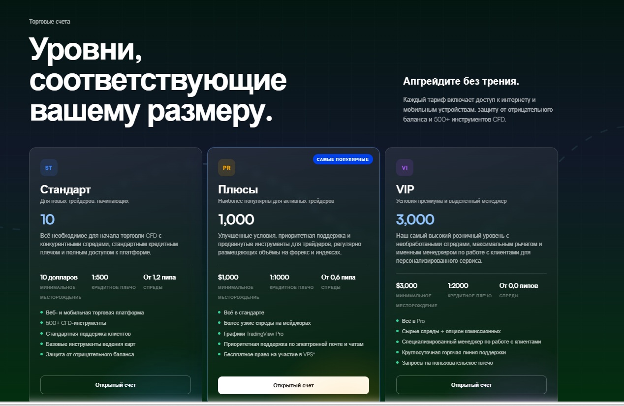 zynexbroker